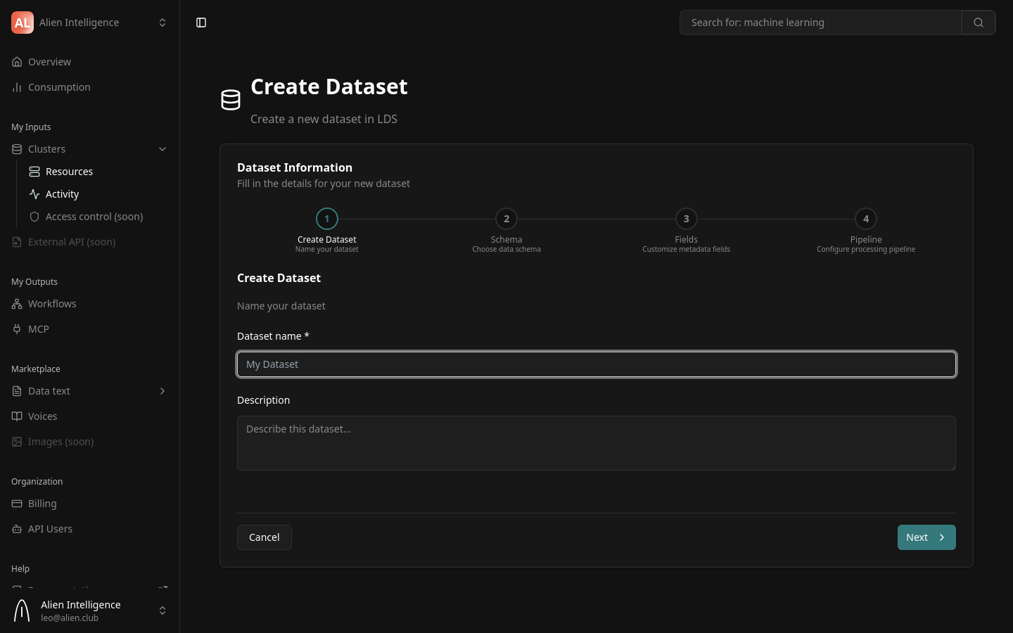 Dataset wizard step 1 — name and description