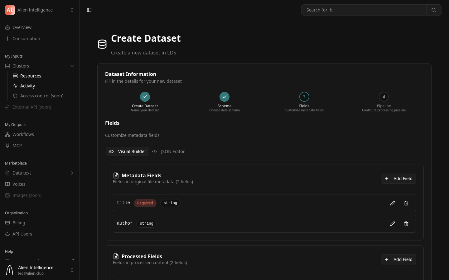 Dataset wizard step 3 — field customization